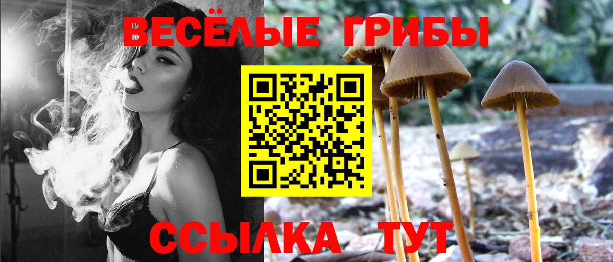 A-PVP СК кристаллы  Орехово-Зуево  Вход с VPN  Купить наркотик  ГАШ  Экстази  Марихуана  КОКАИН  Меф   МДМА 
