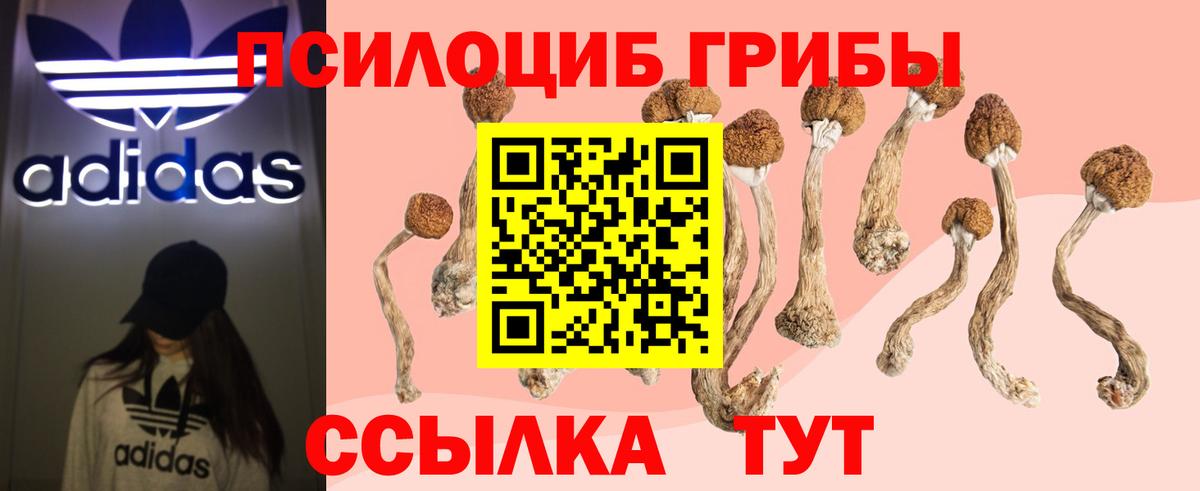 Орехово-Зуево  Псилоцибиновые грибы прущие грибы  Вход с VPN  Галлюциногенные грибы Cubensis 